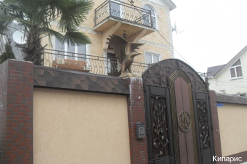 Фото Кипарис