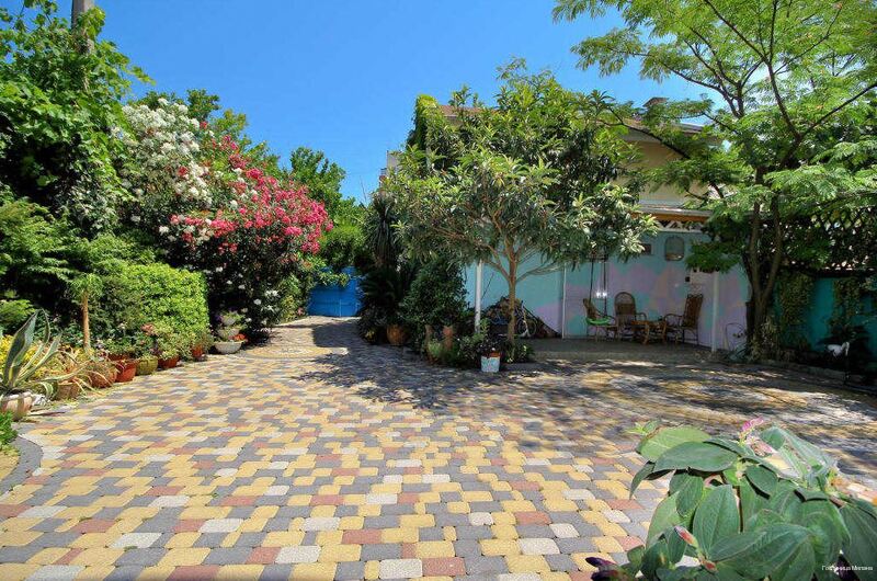 Фото Милана