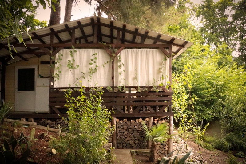 Фото Сосновый Бор