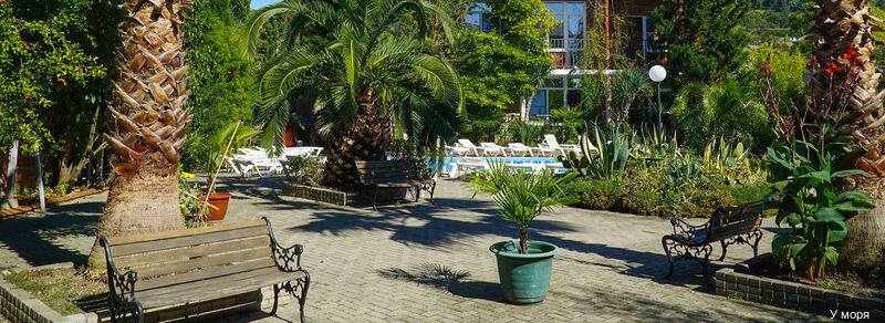 Фото У Моря