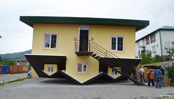 Фото Кедровая роща