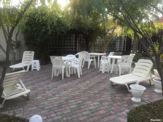 Фото Жасмин