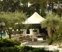 Фото Hotel Greif