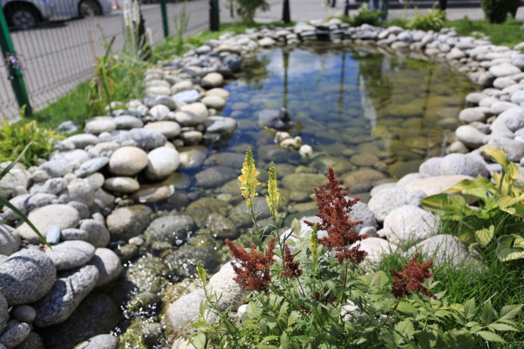 Фото Снежная сова