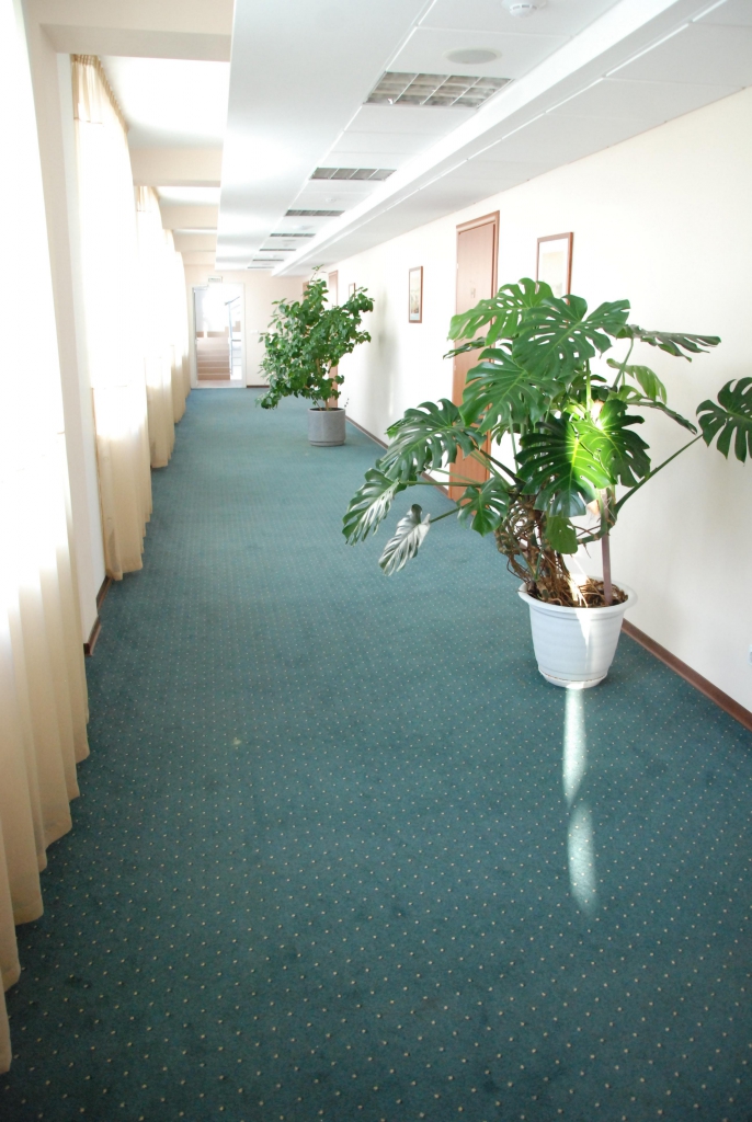 Фото Гостиница Волейбольного центра Одинцово