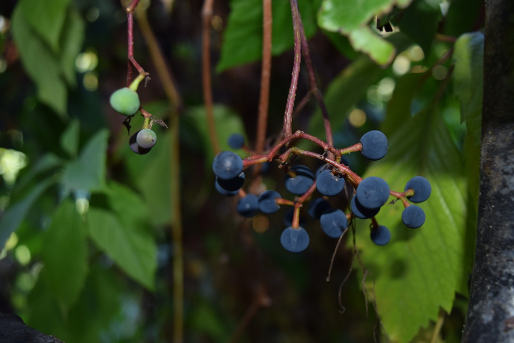 Фото Айсберг Угры