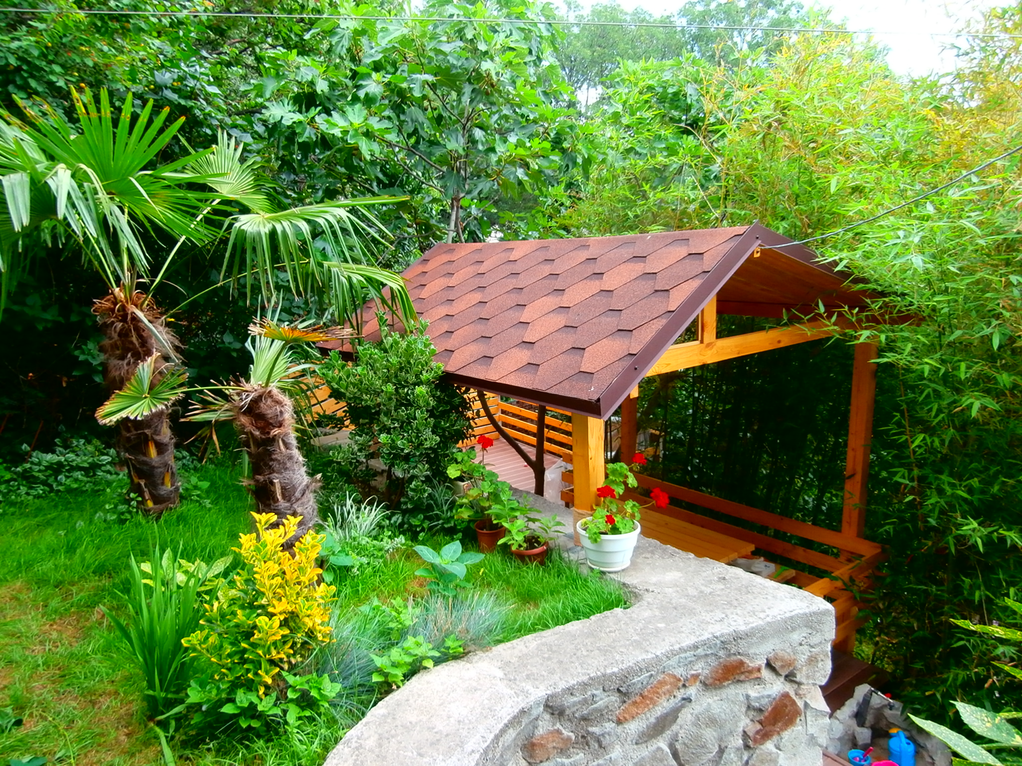 Фото Бархатный сад