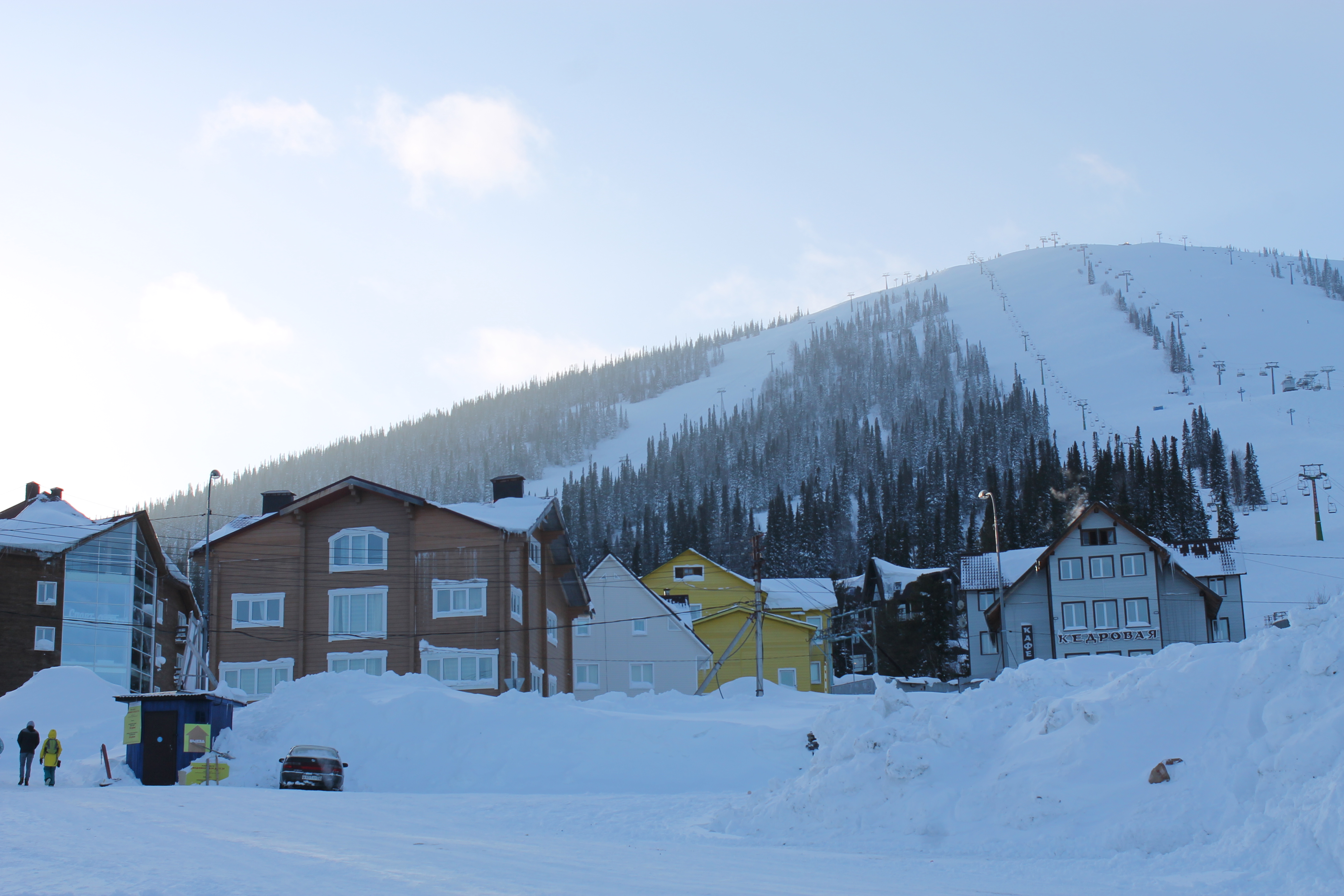 Фото Медведица