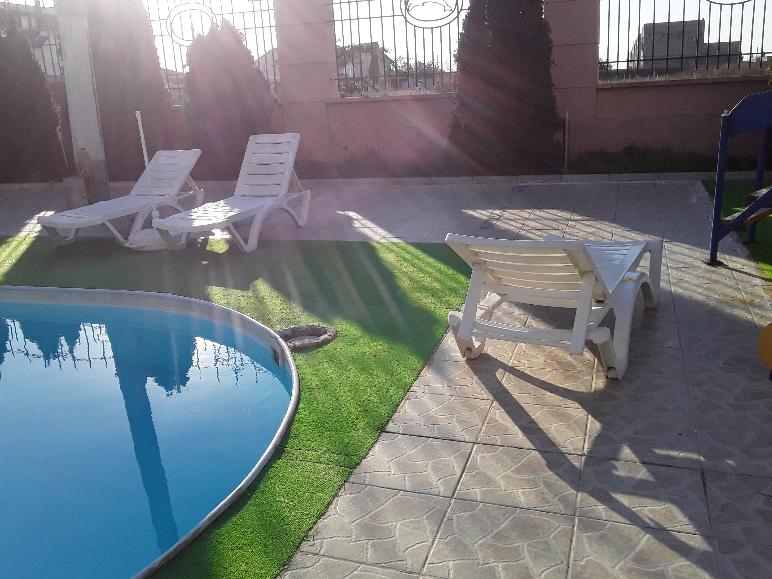 Фото Коралл