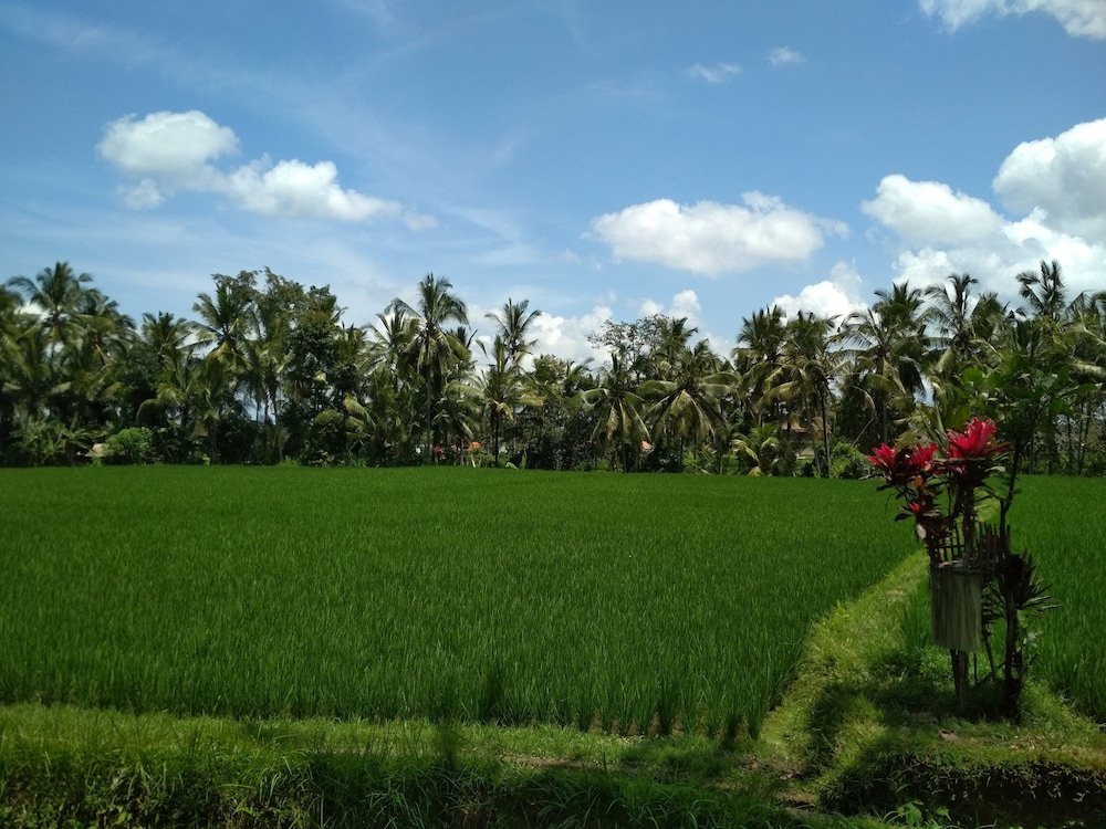 Фото Junjungan Ubud Hotel & SPA