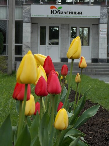 Санаторий Юбилейный в Нижнем Тагиле