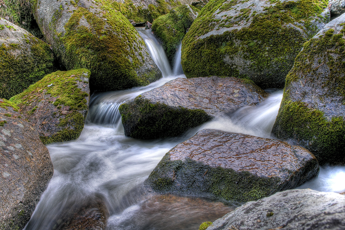 Фото Алтайский замок
