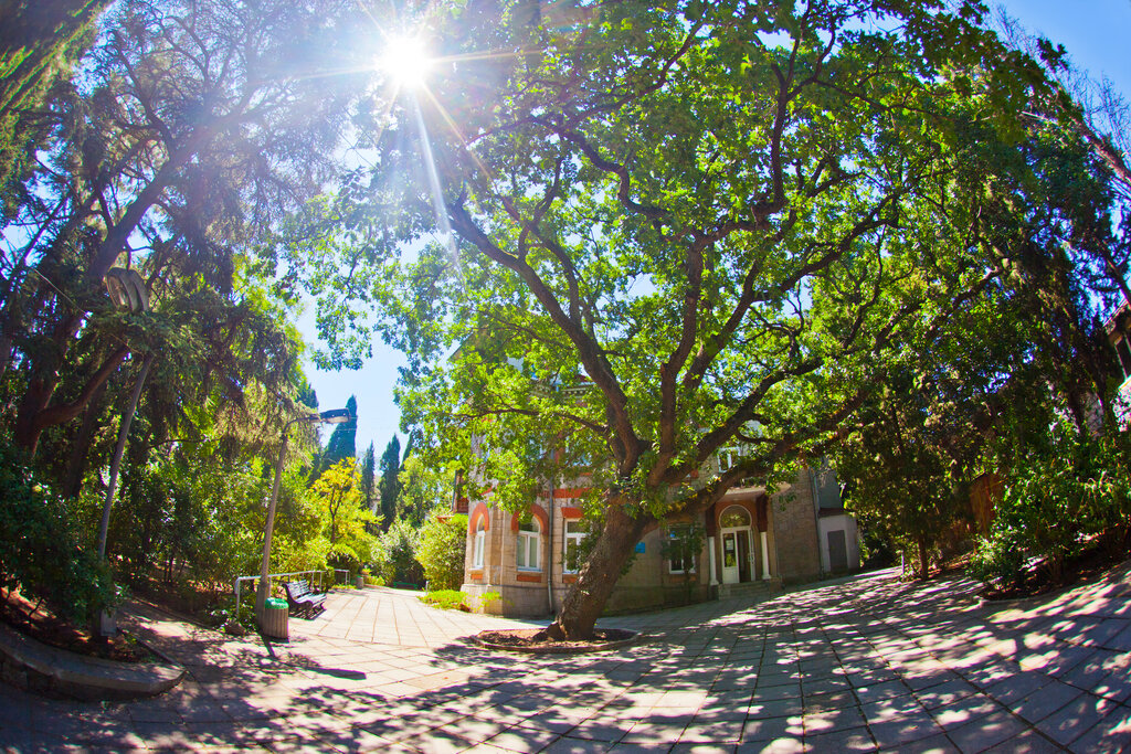 Санаторий Руссия, Ялта, фото