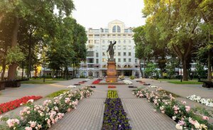 Petrovsky Square (gorodskoy okrug Voronezh, Tsentralniy District, Petrovsky Square), square
