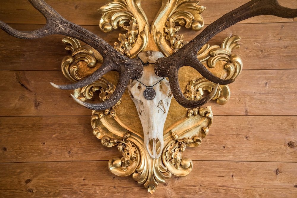 Фото Hotel am Schlosspark