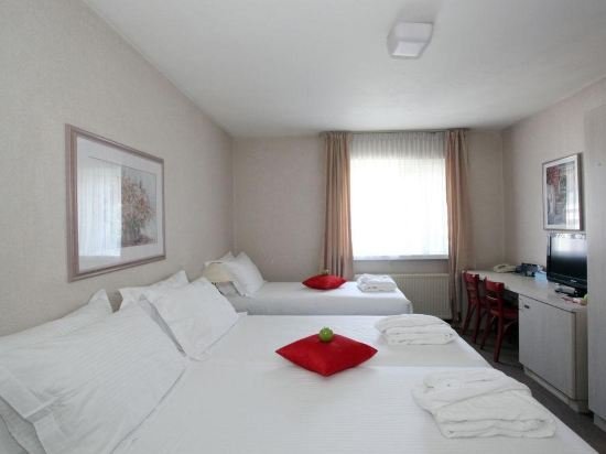 Фото Alp de Veenen Hotel