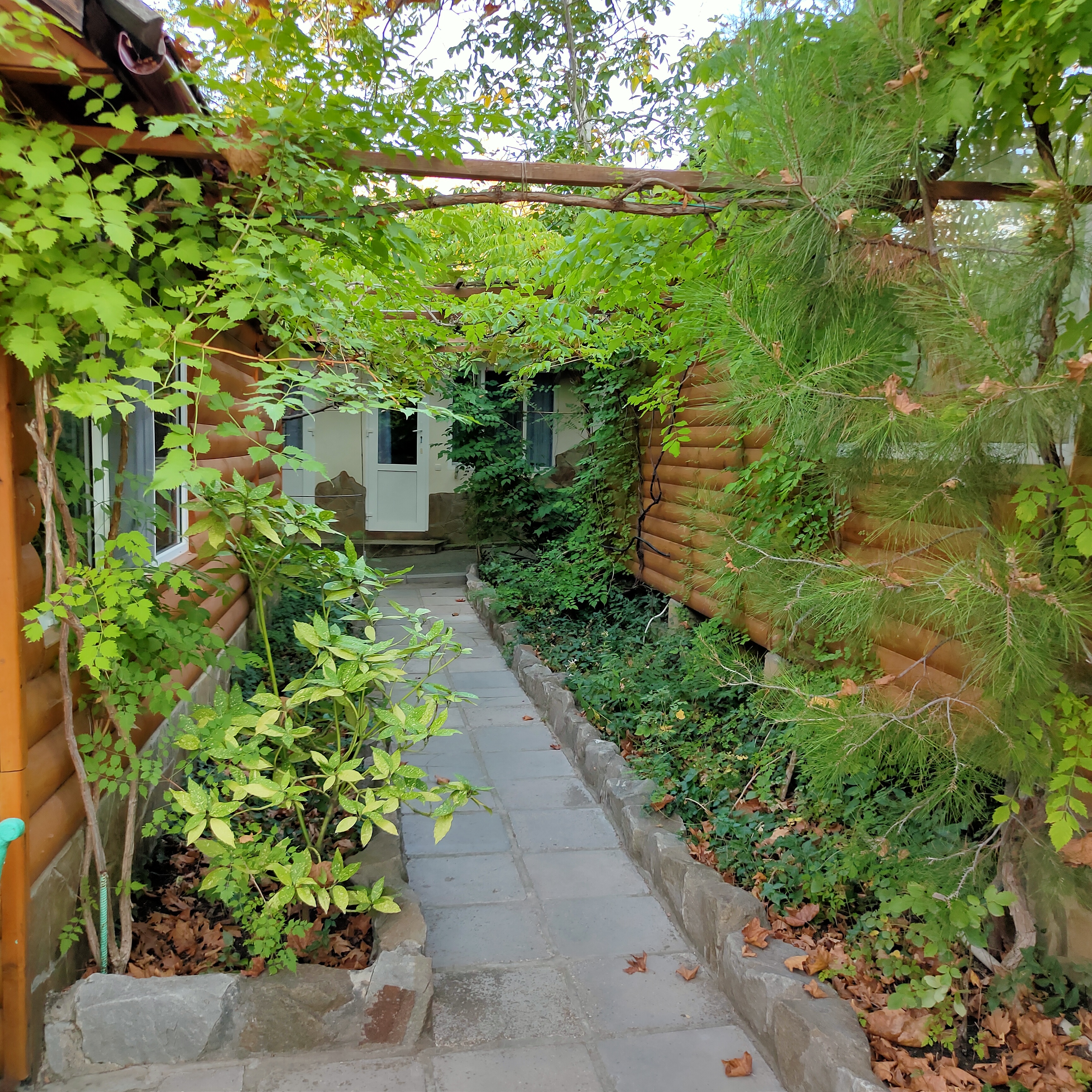 Фото Солнечное Море