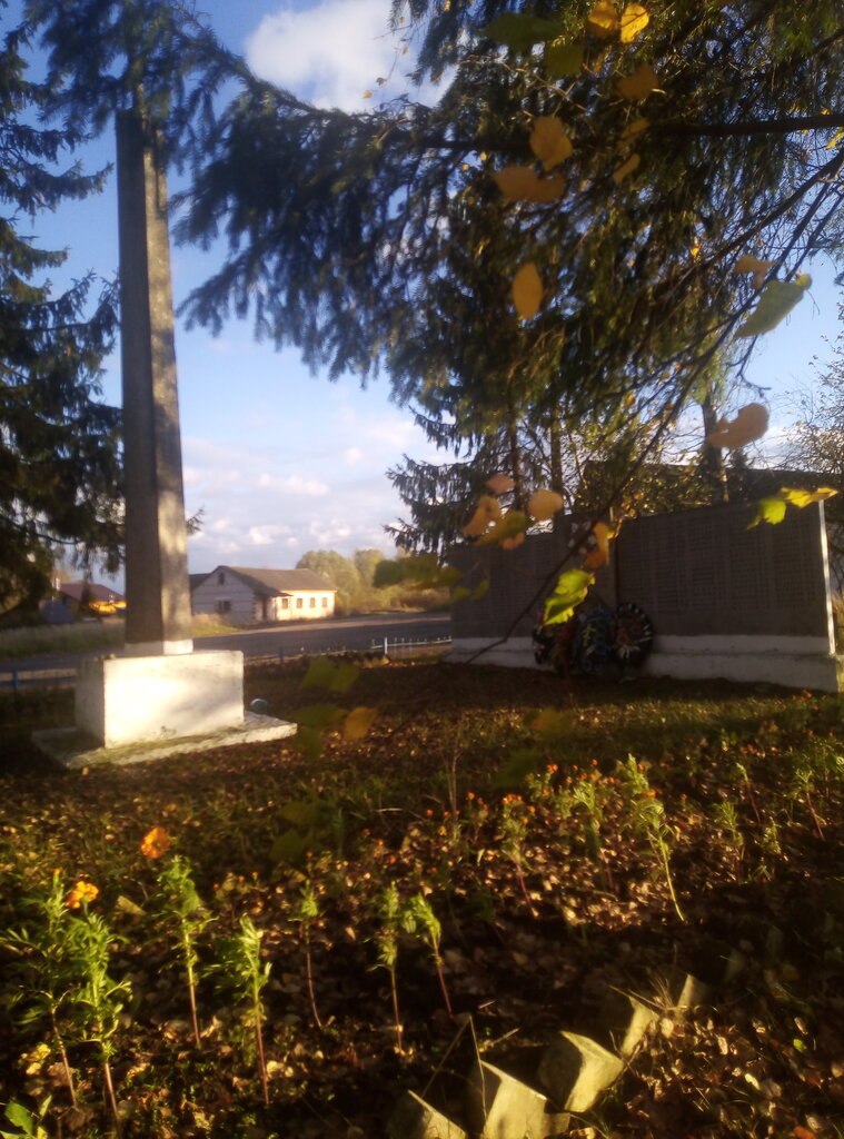 Памятник, мемориал Обелиск дер. Барута, Псковская область, фото