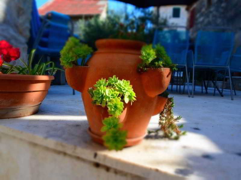 Фото Apartmani Slavica