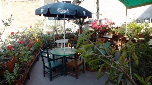 Фото Hotel Dolphin