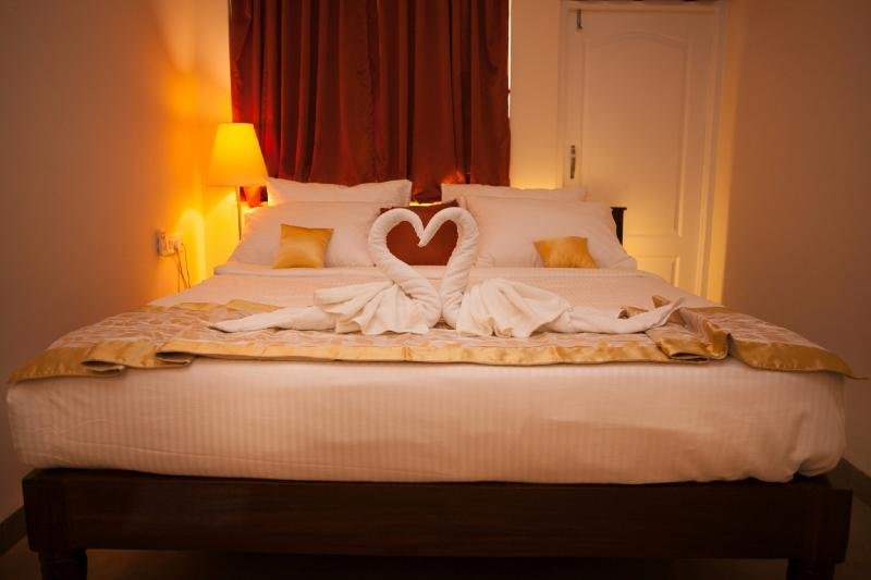 Фото TreeHouse Nova