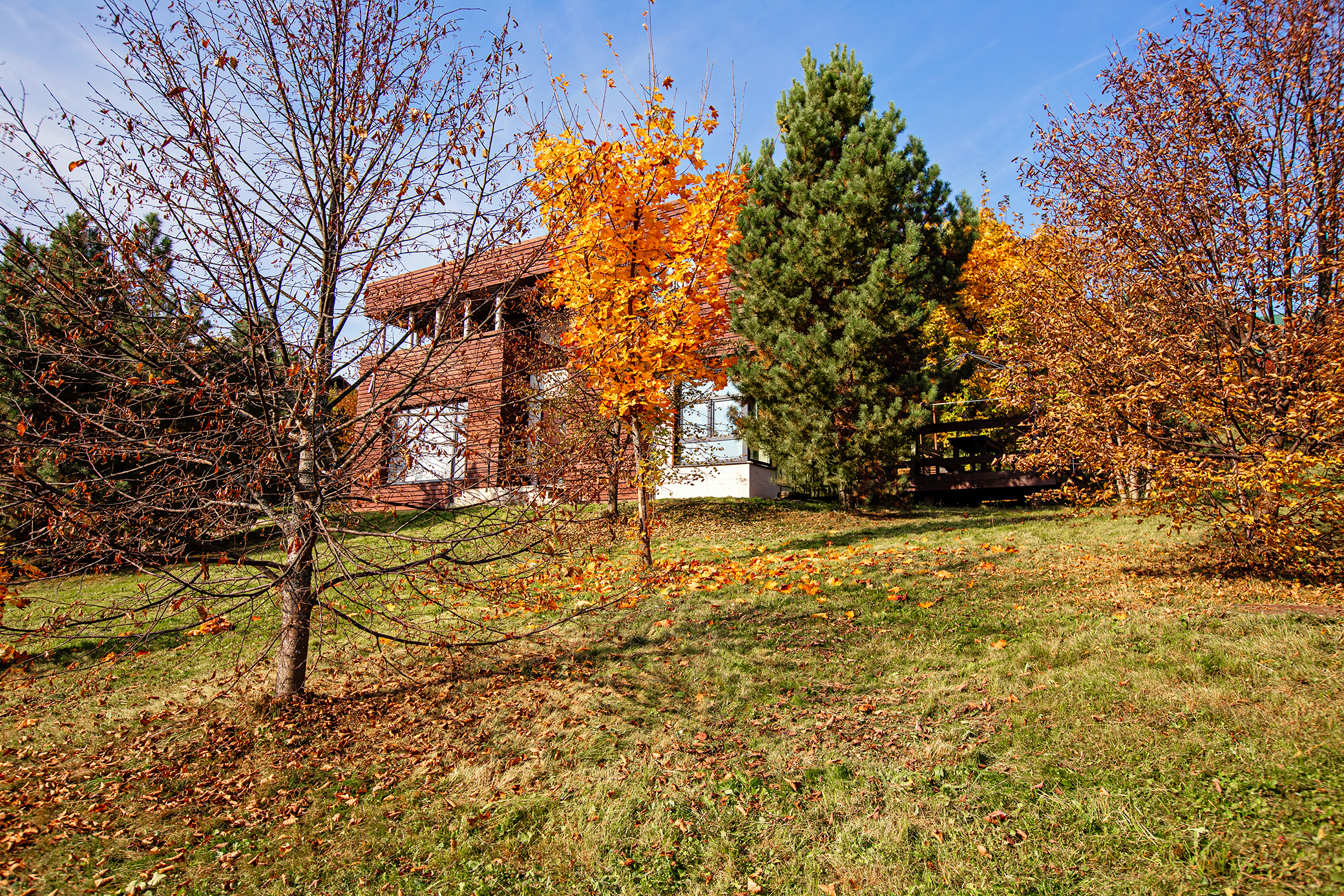 Фото Свежий ветер