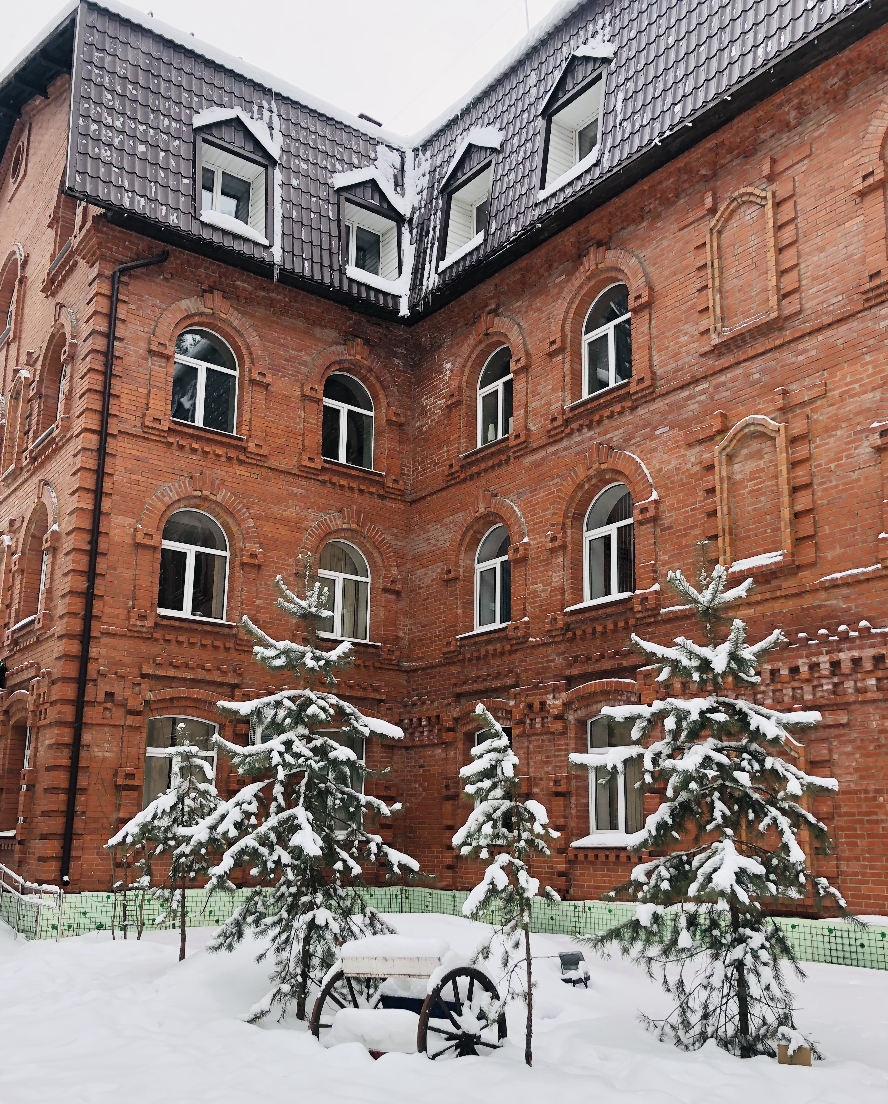 Фото Лесная поляна