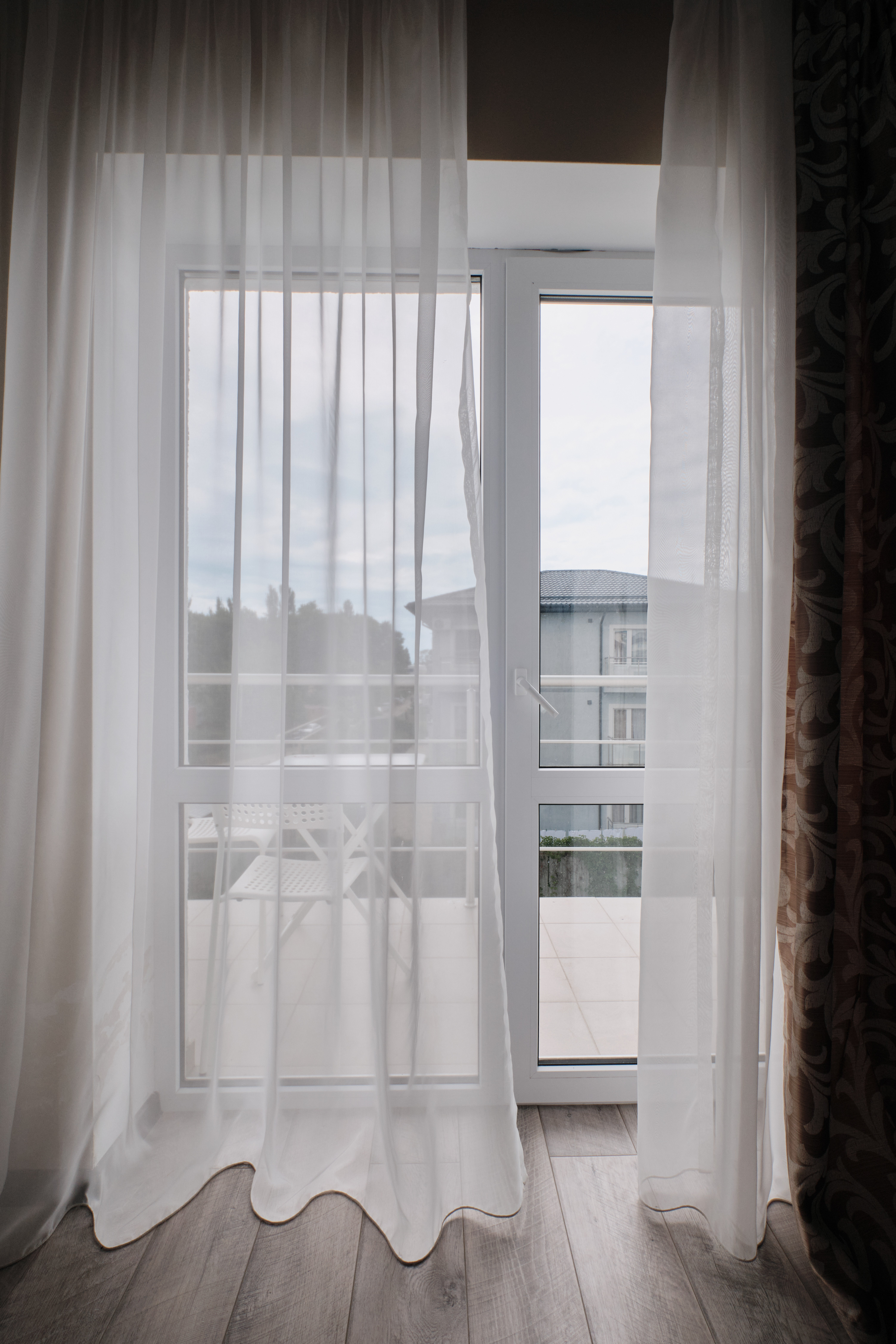 Фото Солнечная орхидея