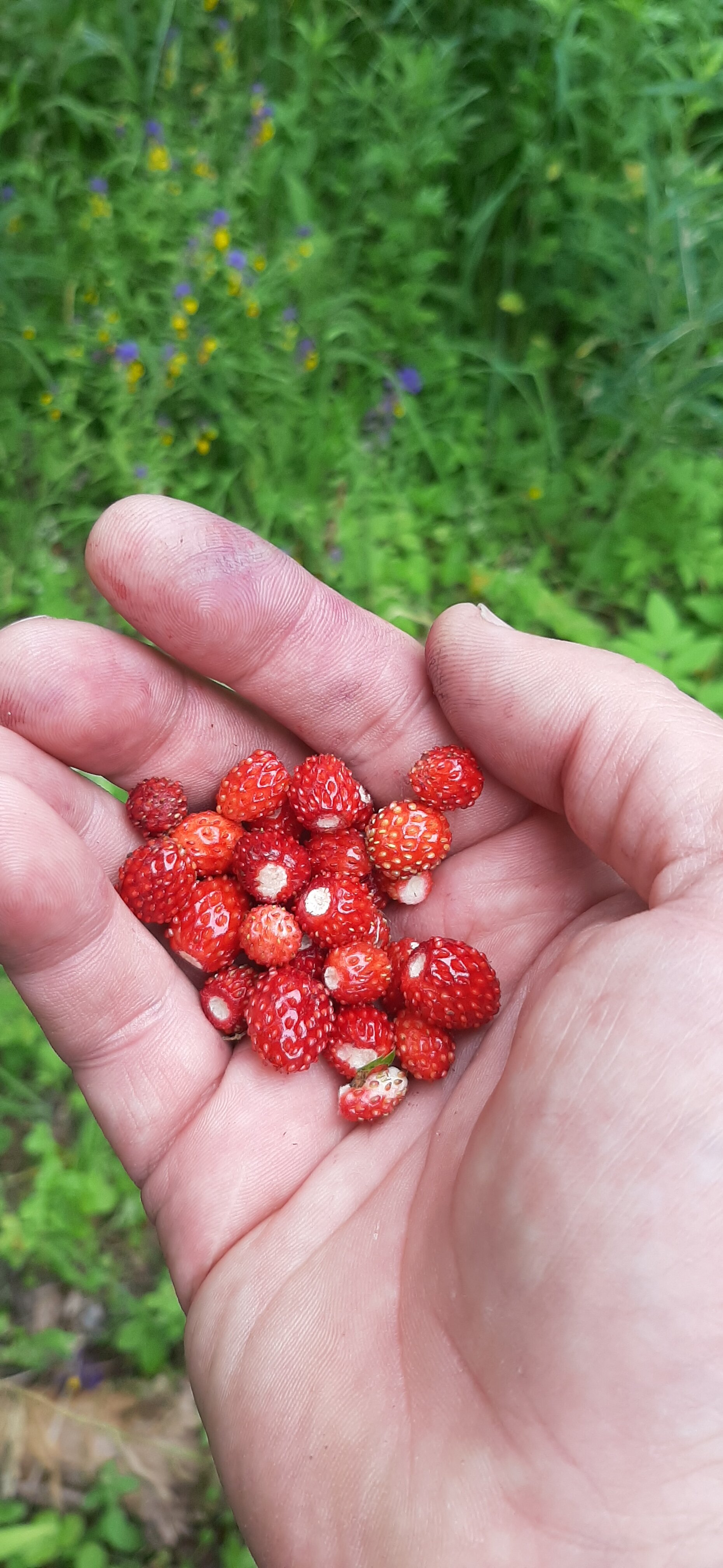 Фото Коломно