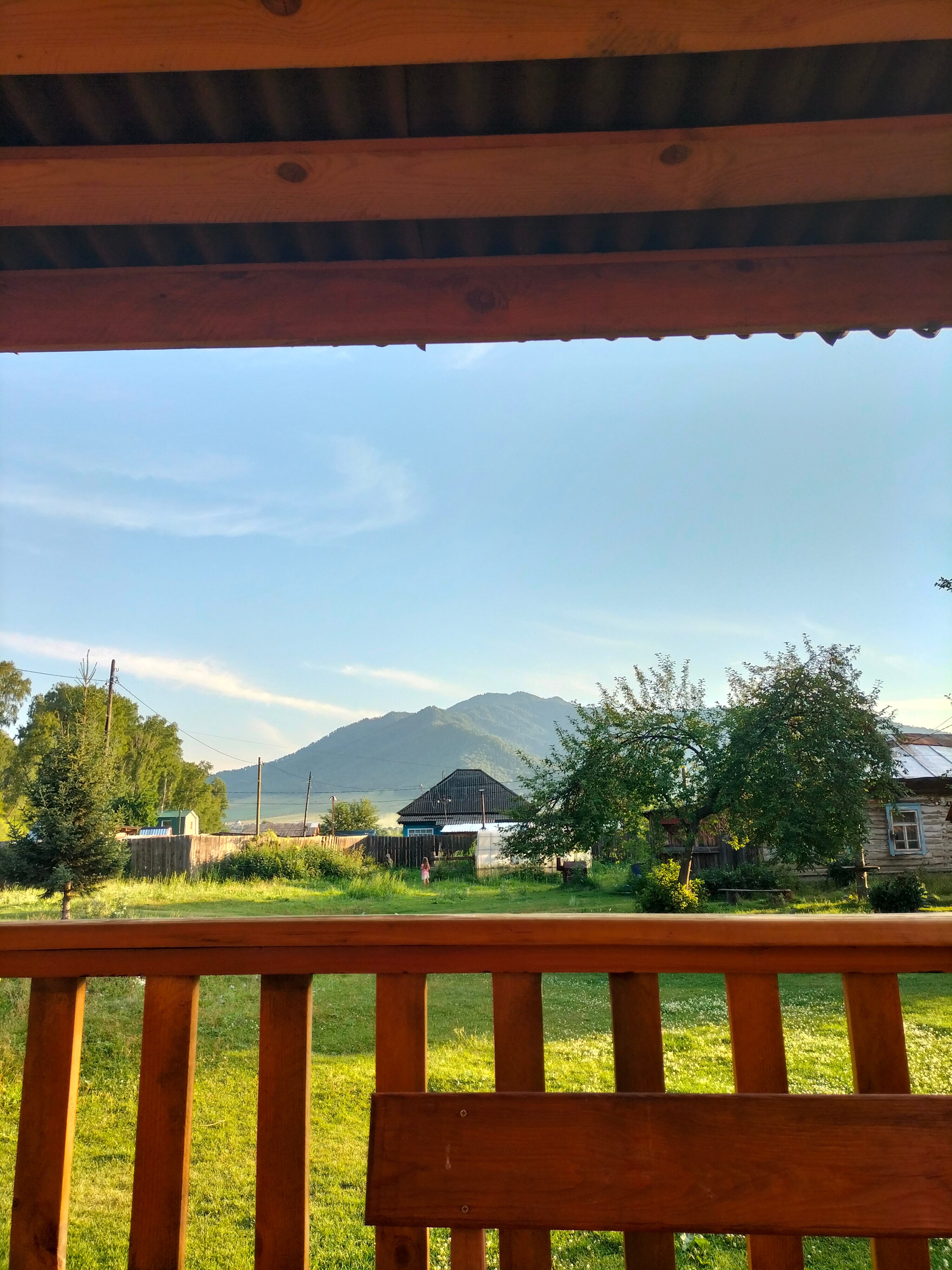 Фото Золотая пчела