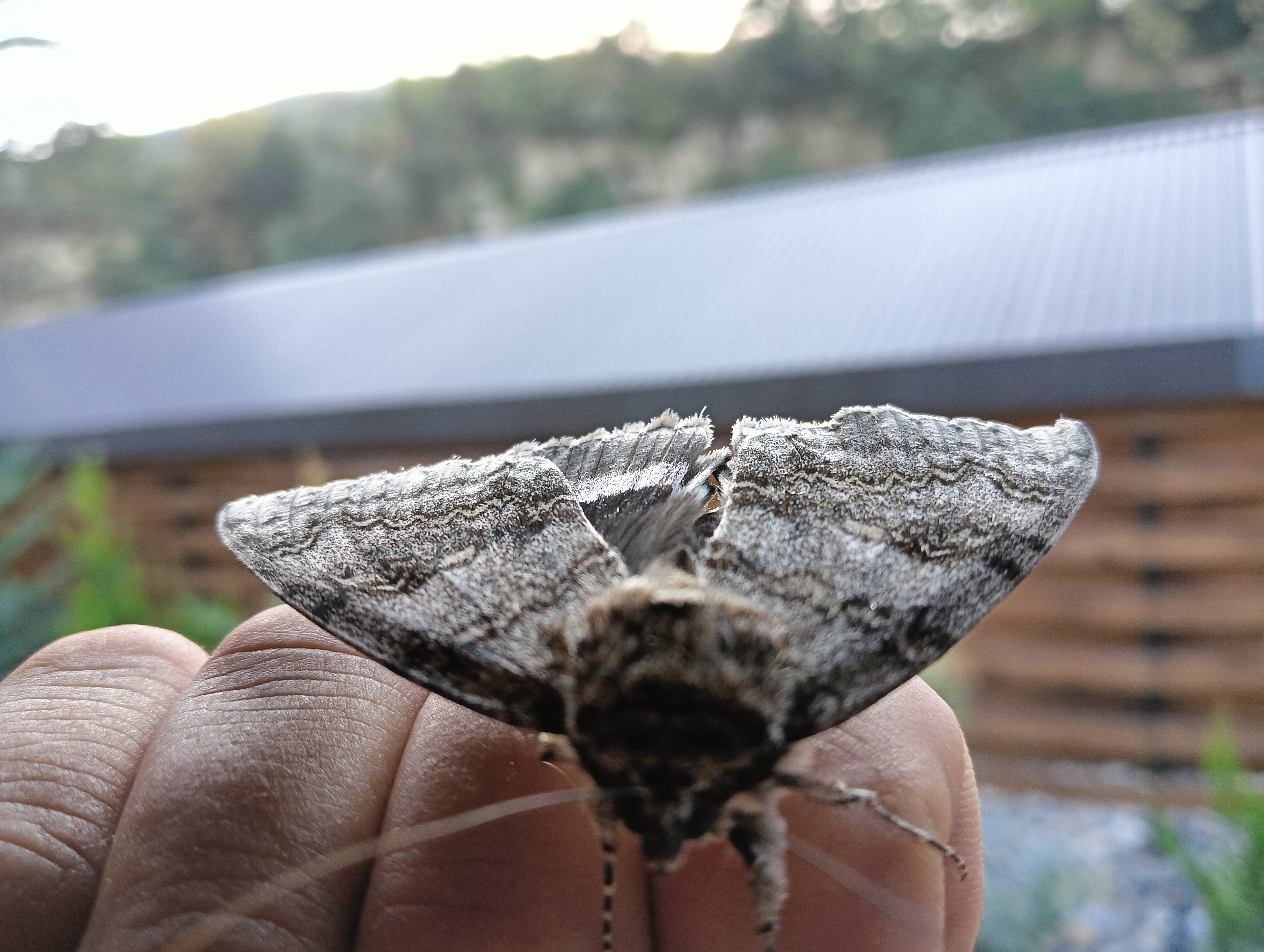 Фото Прохладный