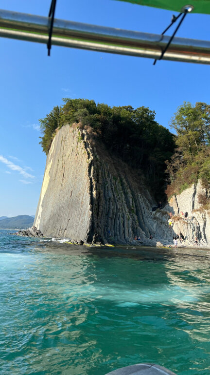 Фото Поющий Колибри
