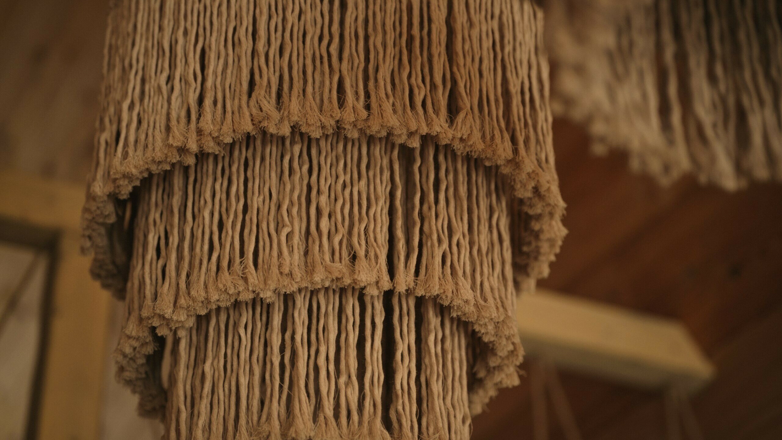 Фото Место под соснами