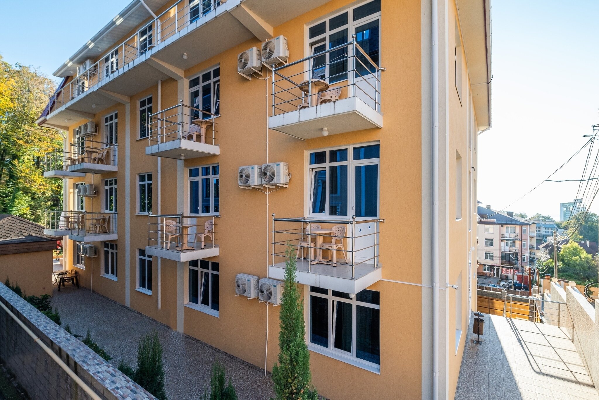 Фото Возрождение