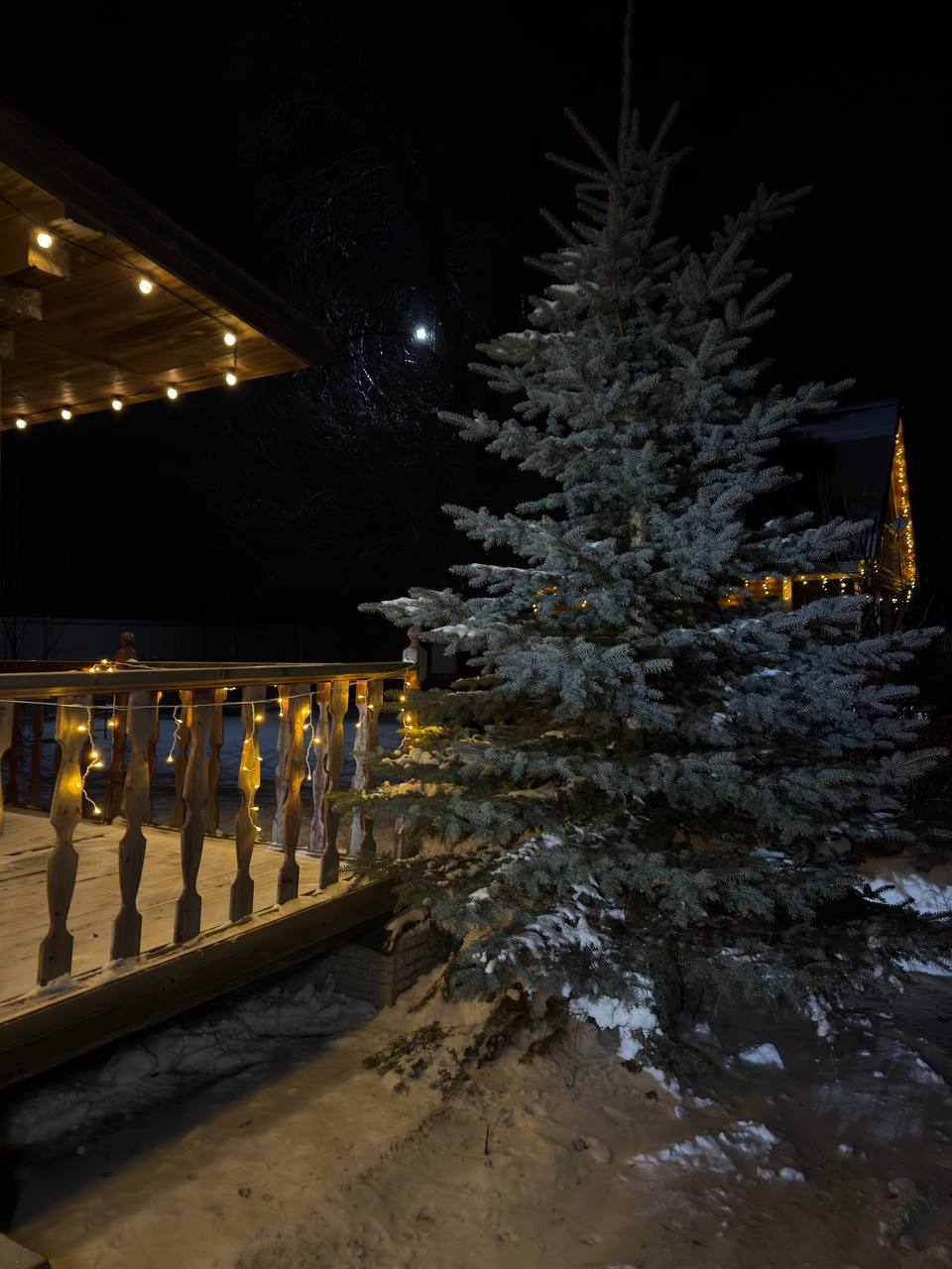 Фото Лаванда