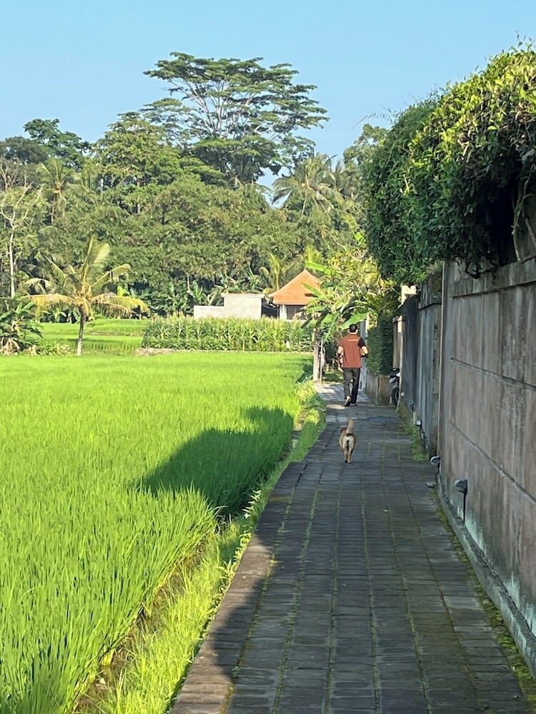 Фото Uma Padi Villa