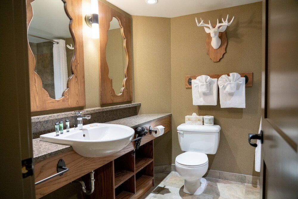 Фото Banff Caribou Lodge and SPA