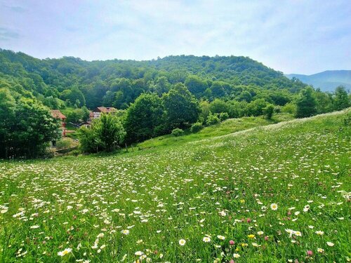 Гостиница Ecokayan Dilijan Resort Hotel в Дилижане
