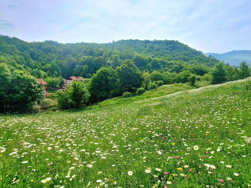 Фото Ecokayan Dilijan Resort Hotel