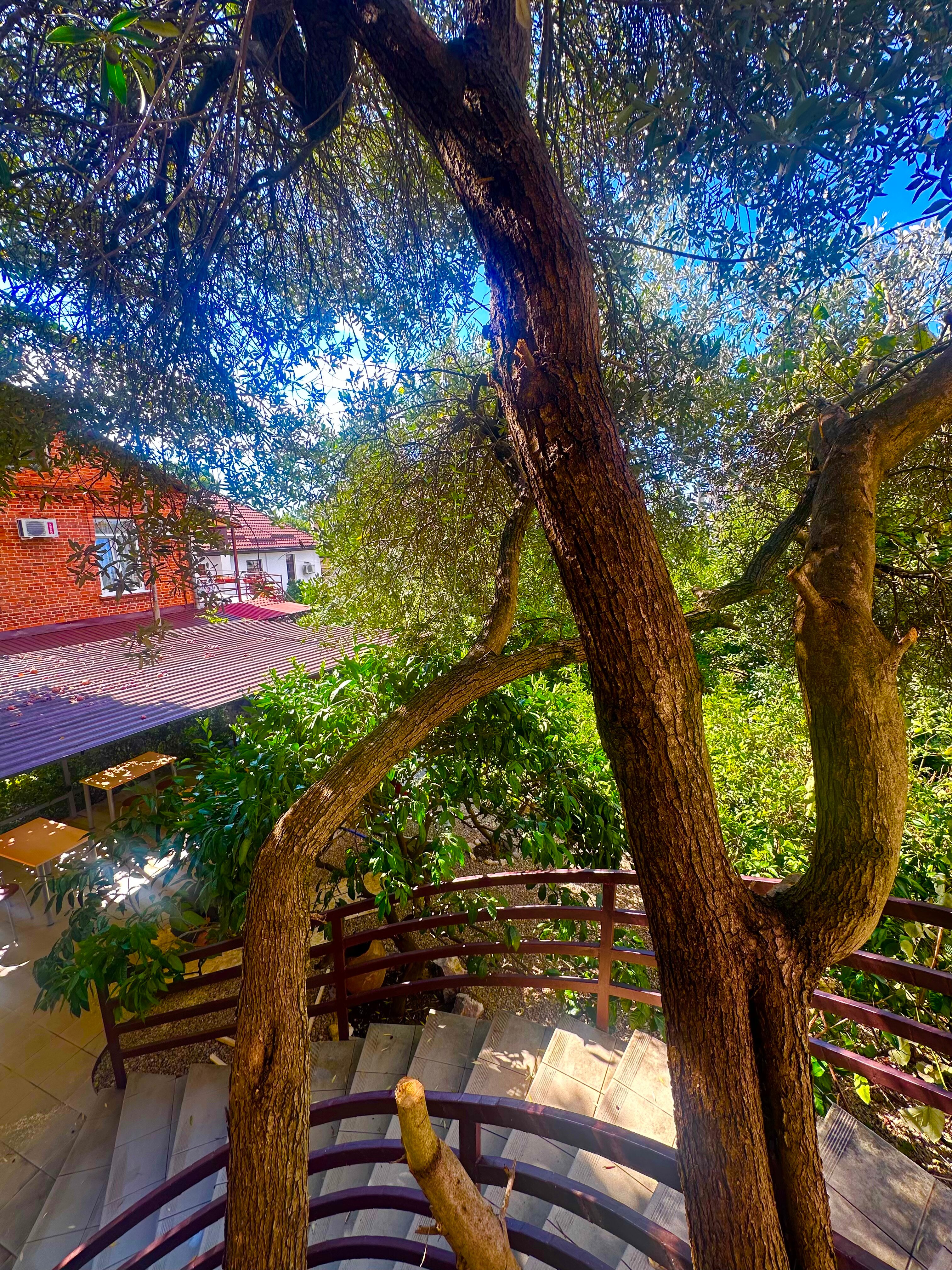 Фото Морские истории 3