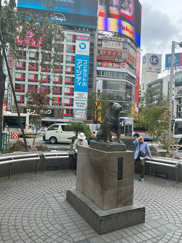 Hachiko, monument, memorial, Tokyo Metropolis, Special Ward