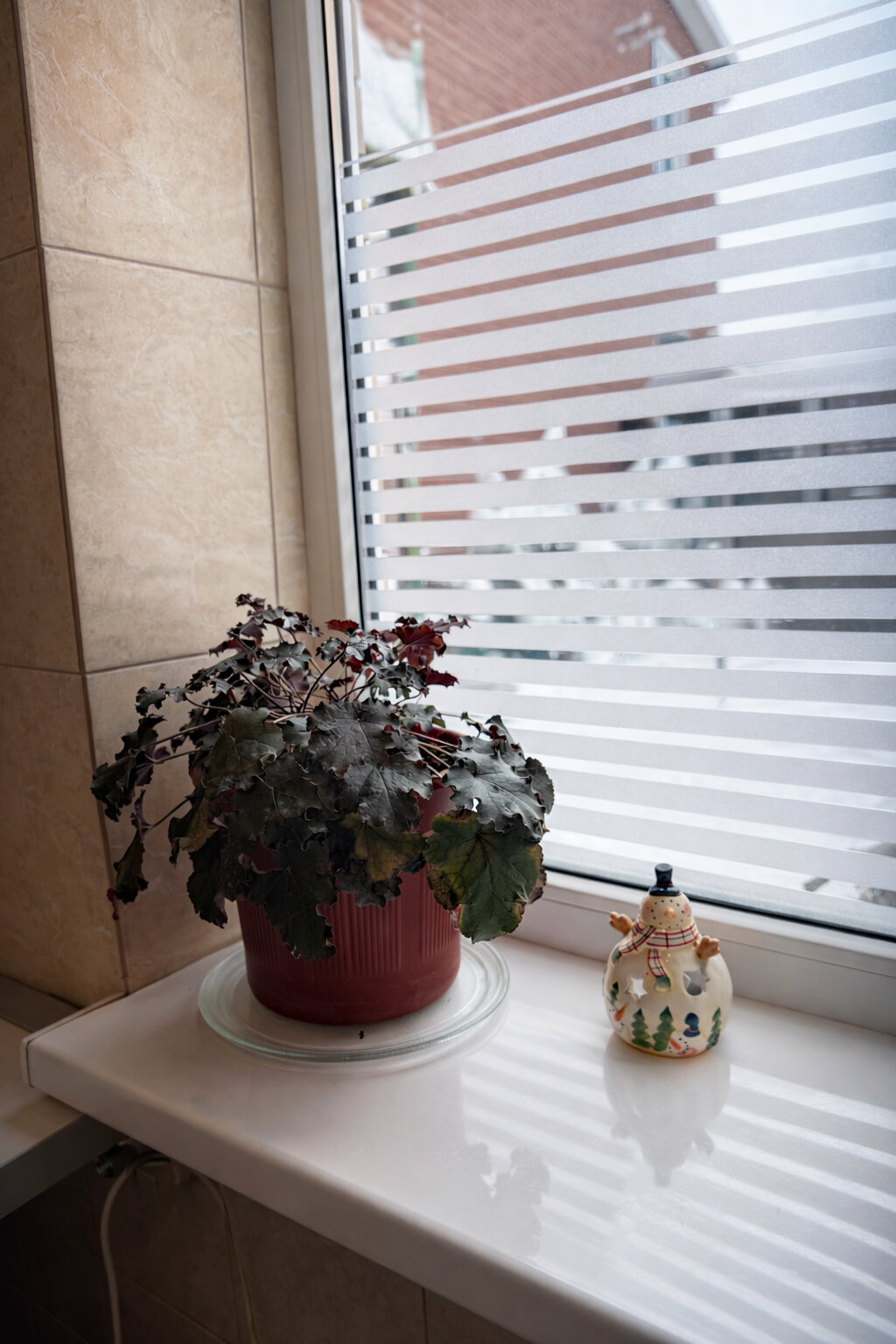 Фото Дом для гостей