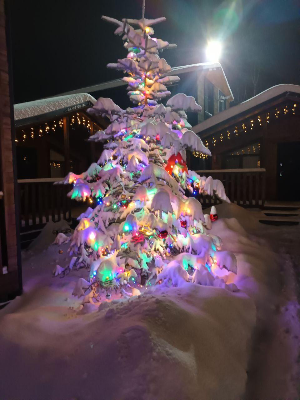 Фото Золото Архыза