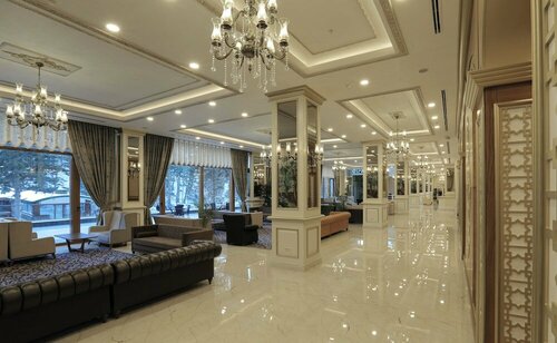 Гостиница Çam Thermal Resort SPA Hotel в Гереде