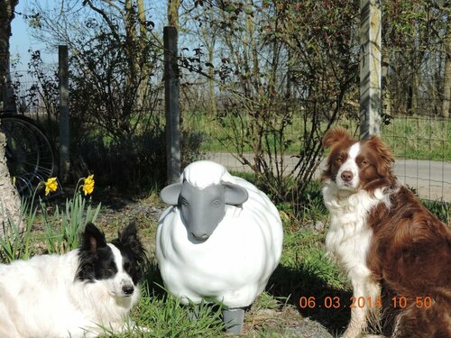 Гостиница Chambres d'Hôtes Le Mouton в Анжере