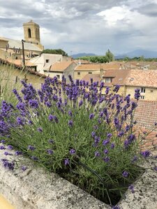 Гостиница Entre Vignes Dt Dentelles