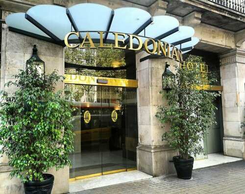Caledonian
