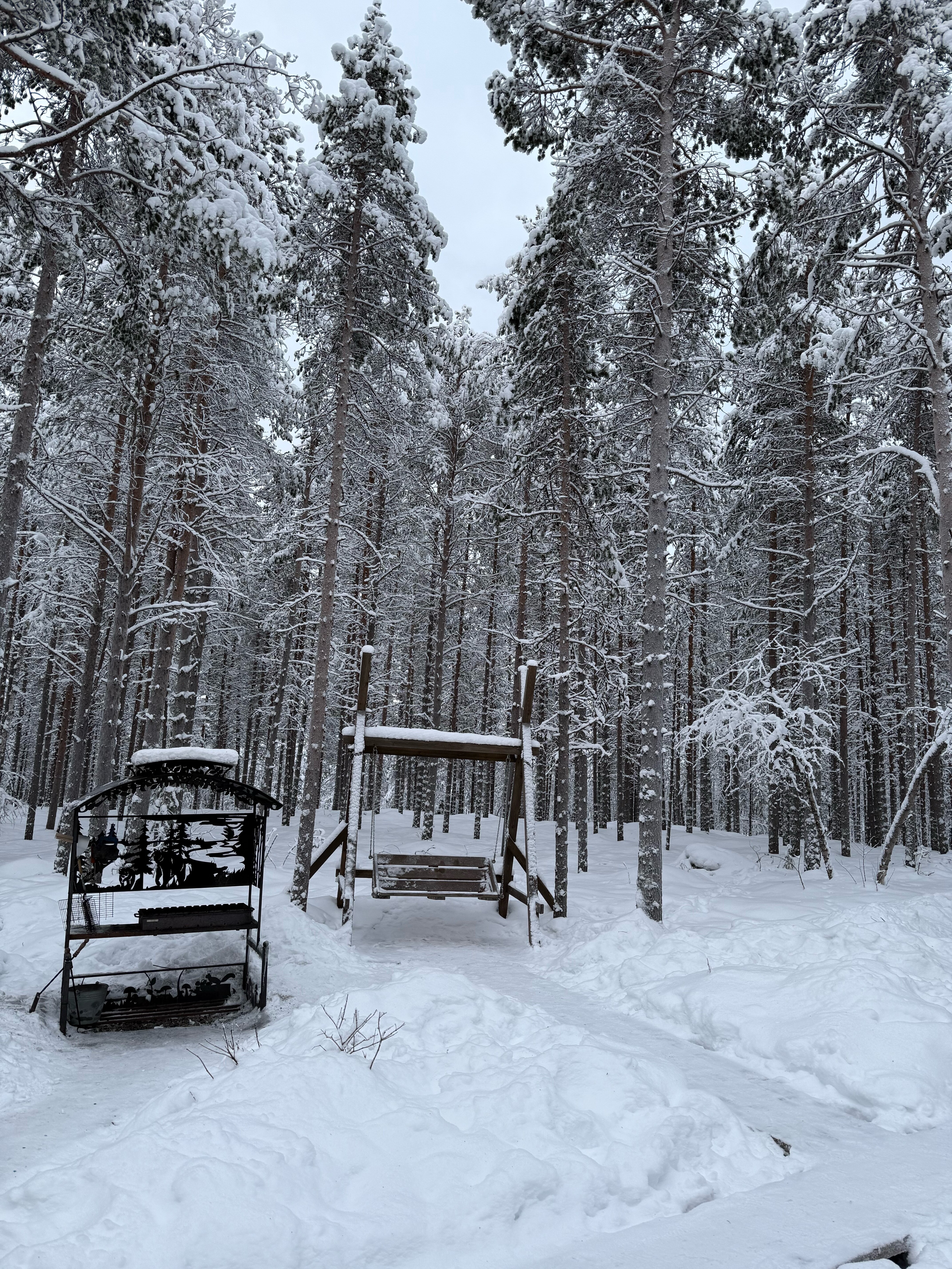 Фото Polarhome51