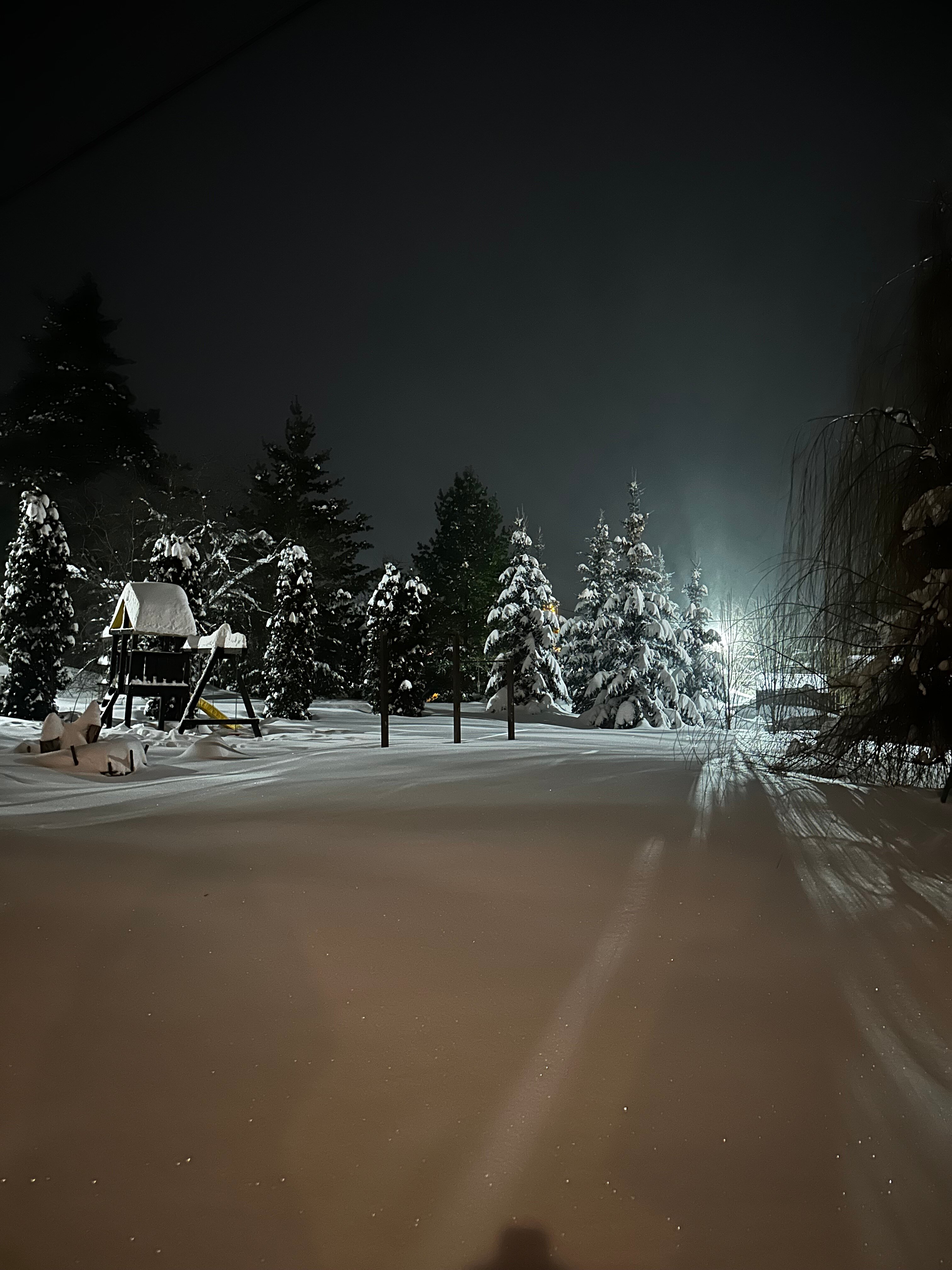Фото Окский берег