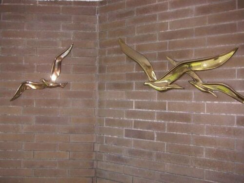 Гостиница The Grey Gull в Ошен Шорс